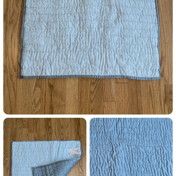 Pottery Barn Channel Quilted Silk /Cotton Two Tone Euro sham - Picture 3 of 6